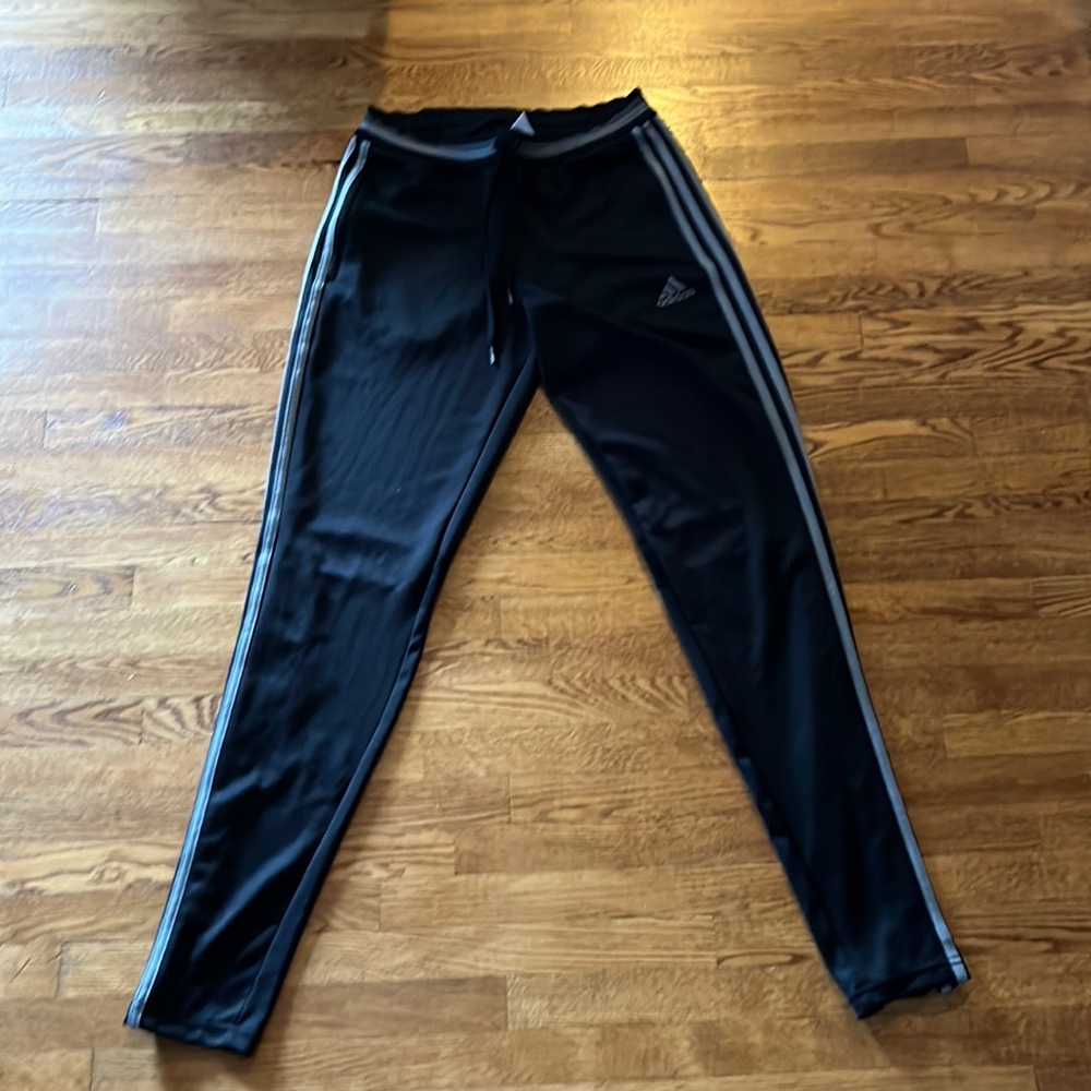 Climatology pants